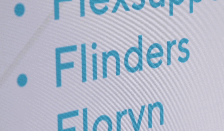 De top 250 groeibedrijven 2020: Flinders van Oscar Diele